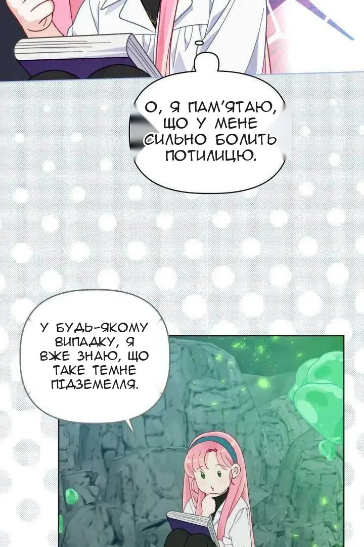 Сторінка 41