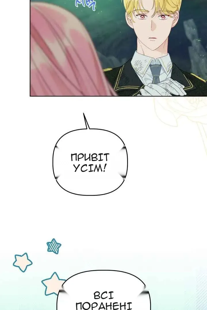 Сторінка 17