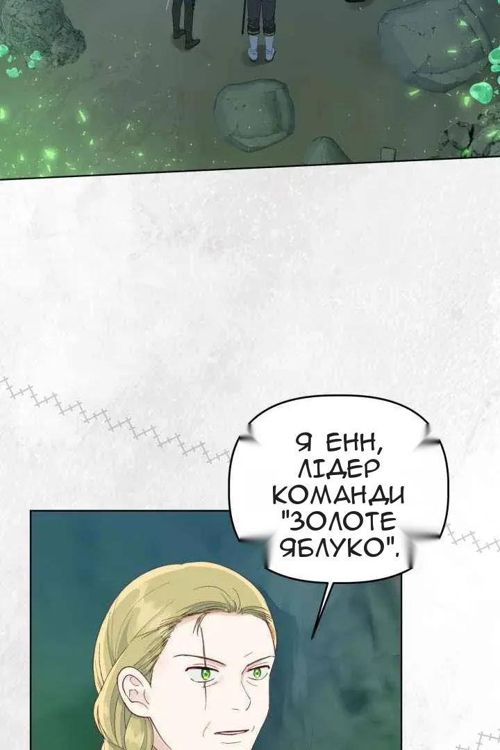 Сторінка 29