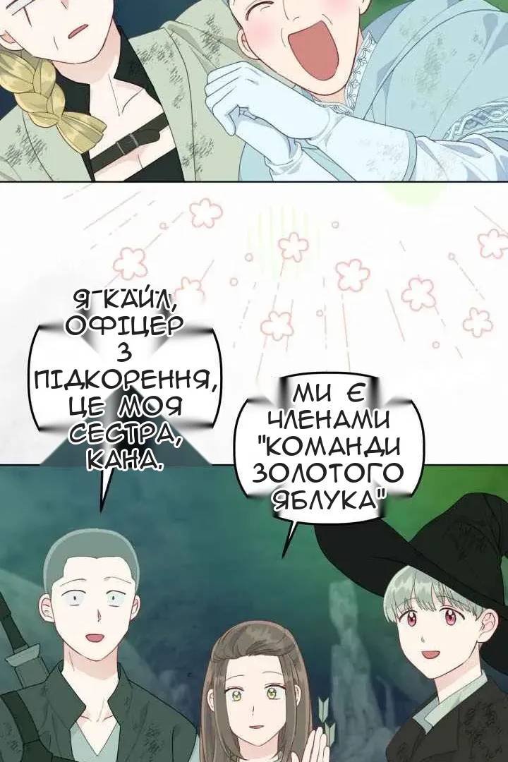 Сторінка 31