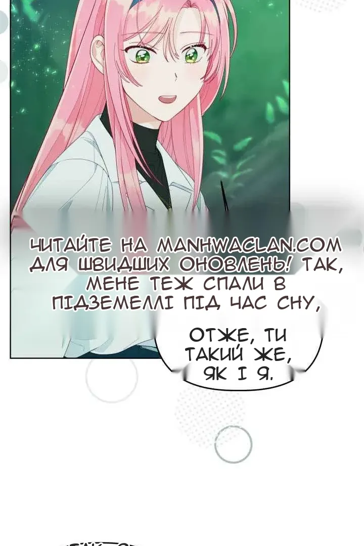 Сторінка 40