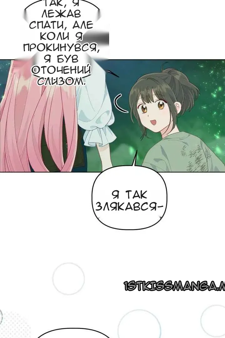 Сторінка 41