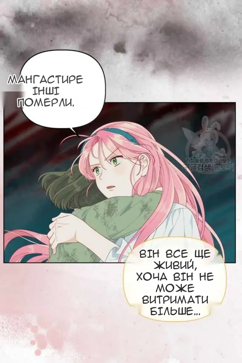 Сторінка 41