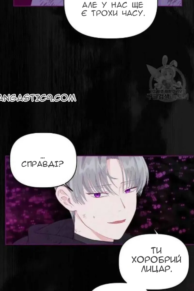 Сторінка 6