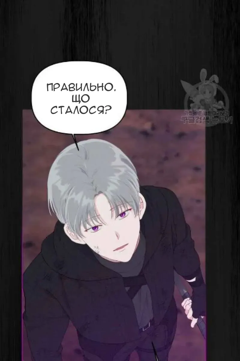 Сторінка 11