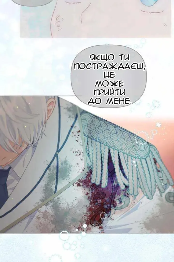 Сторінка 41