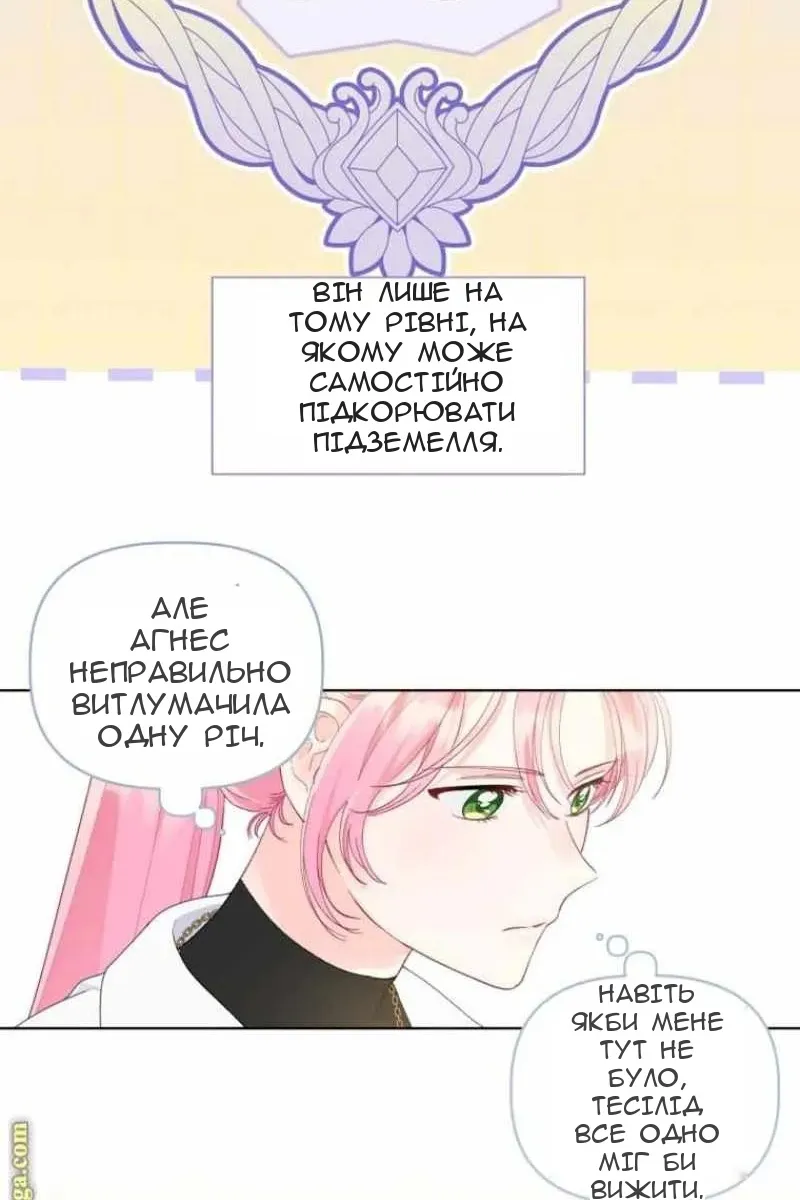 Сторінка 11