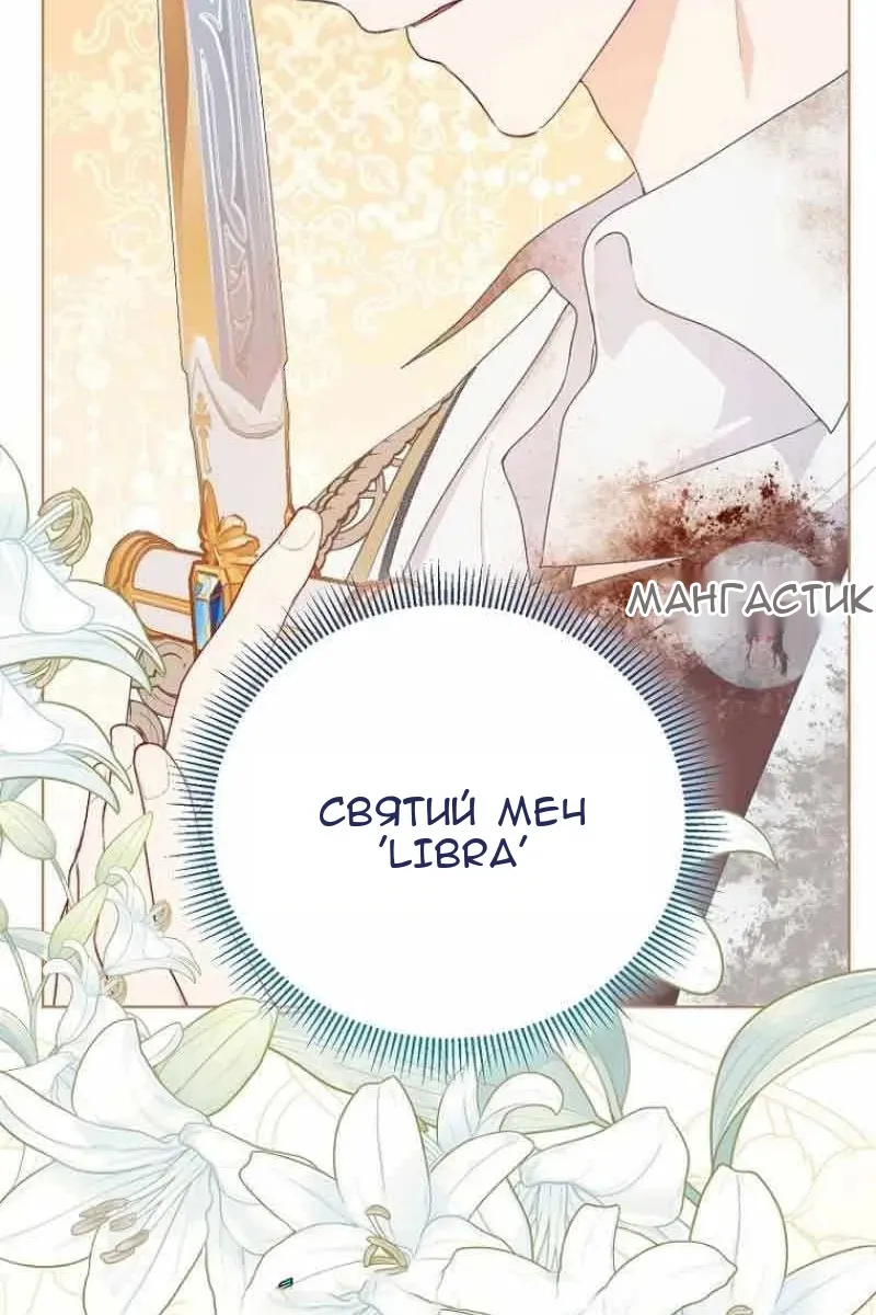 Сторінка 31