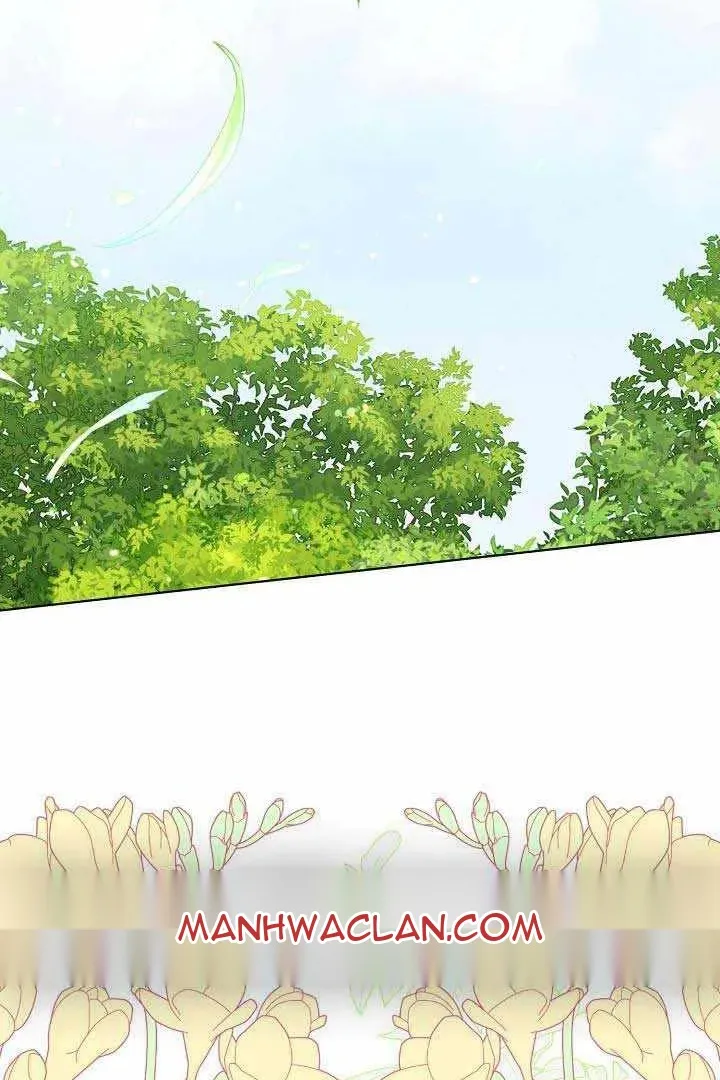 Сторінка 17