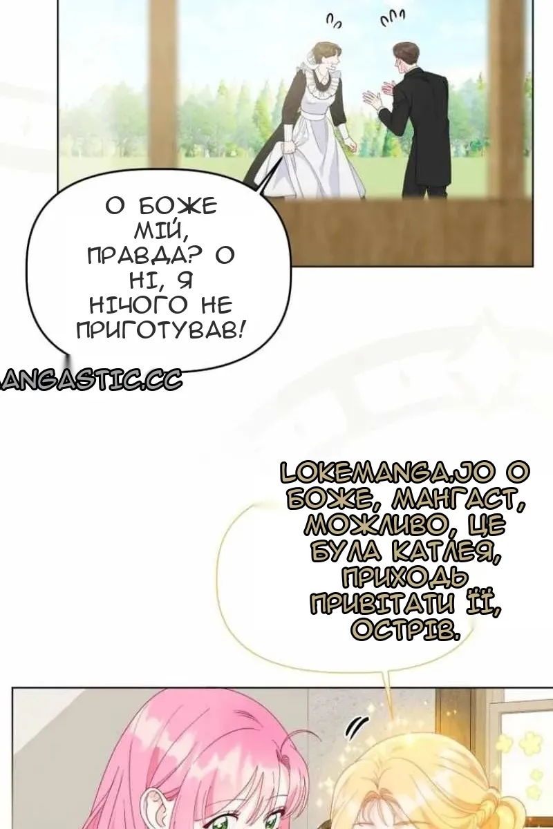 Сторінка 17