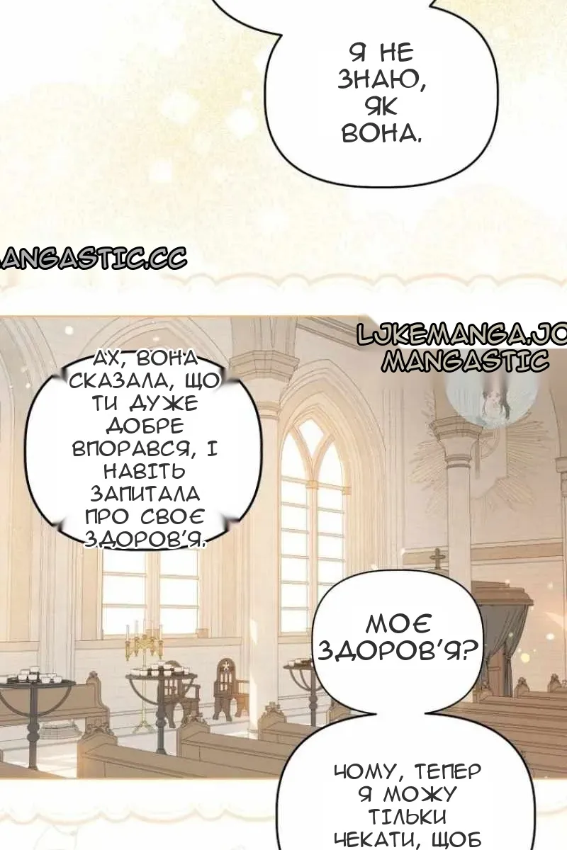 Сторінка 26