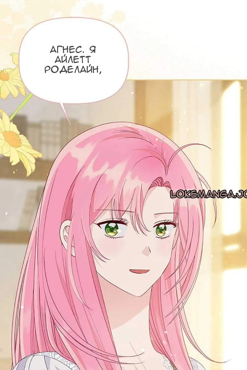 Сторінка 7