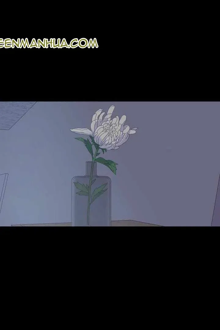 Сторінка 11