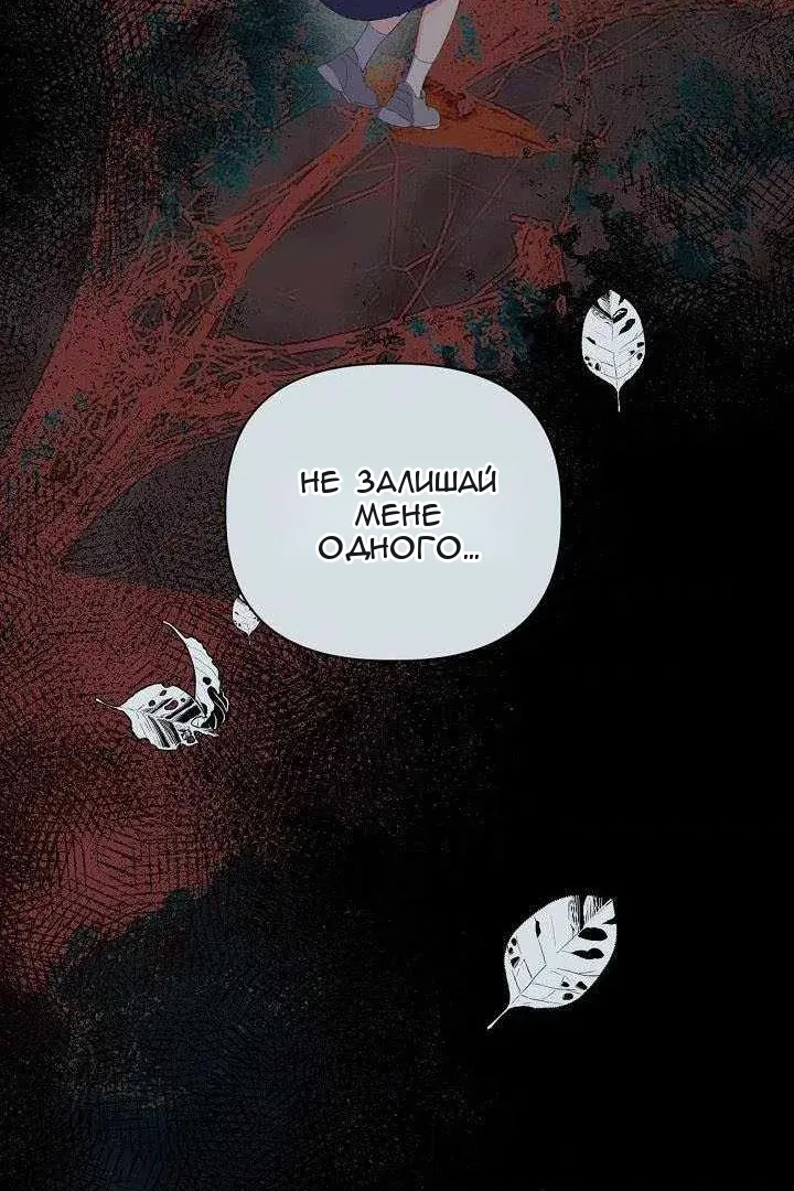 Сторінка 42