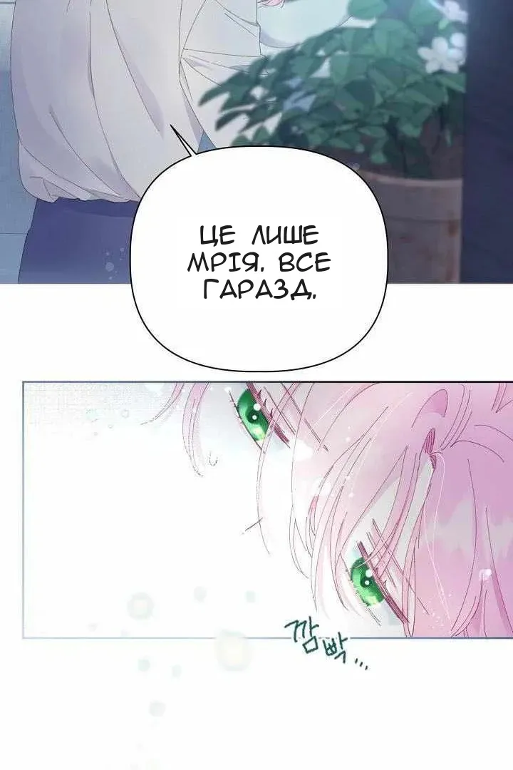 Сторінка 47