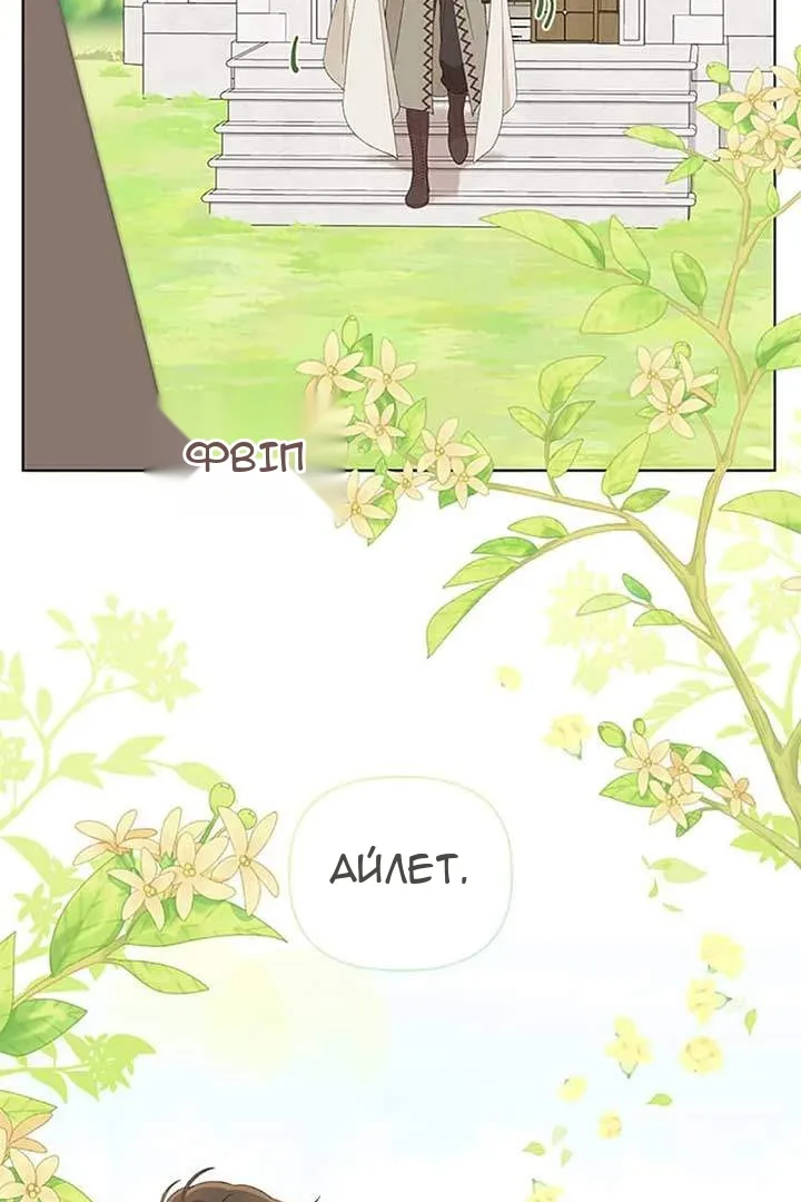Сторінка 33