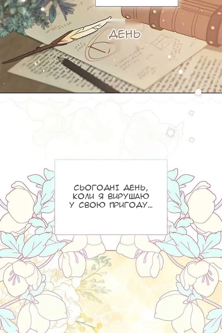 Сторінка 40