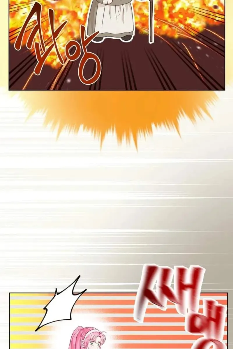 Сторінка 55