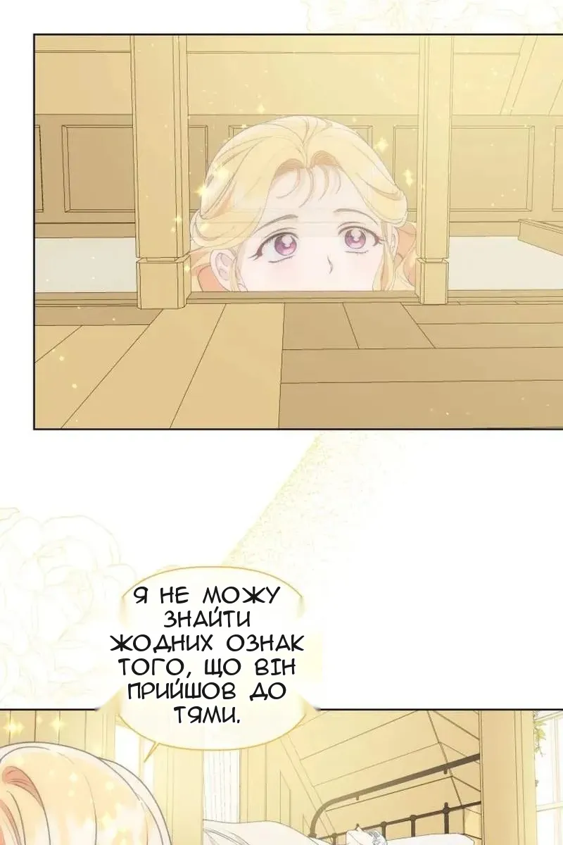 Сторінка 8