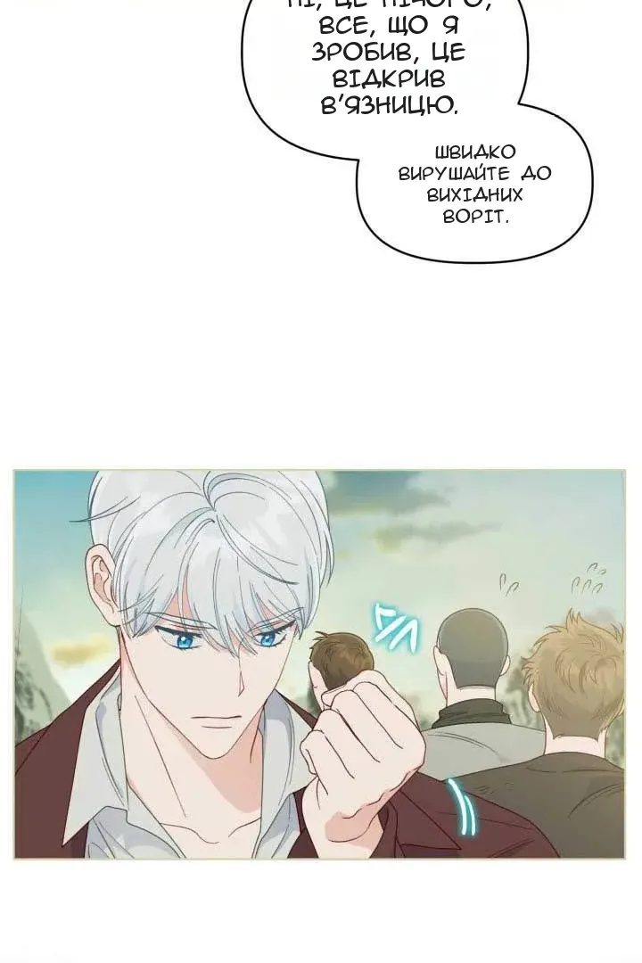 Сторінка 8