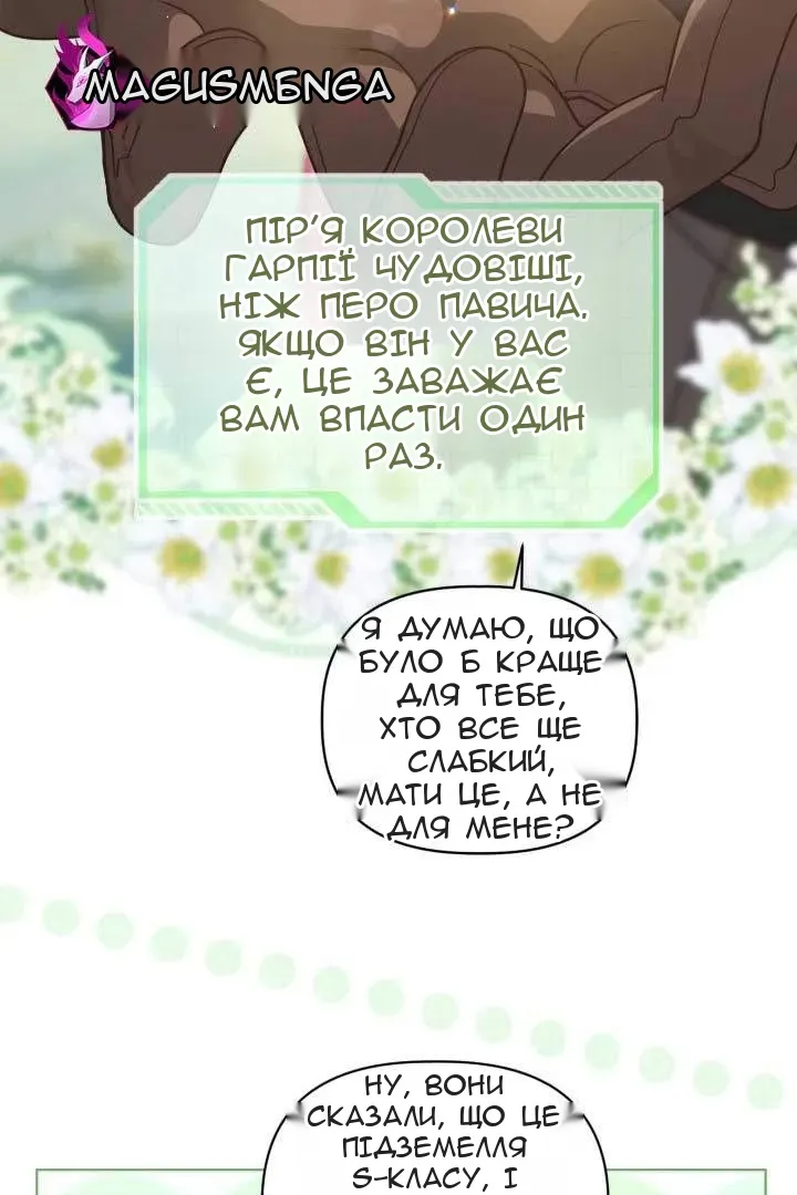 Сторінка 13