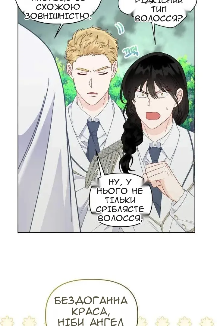 Сторінка 24
