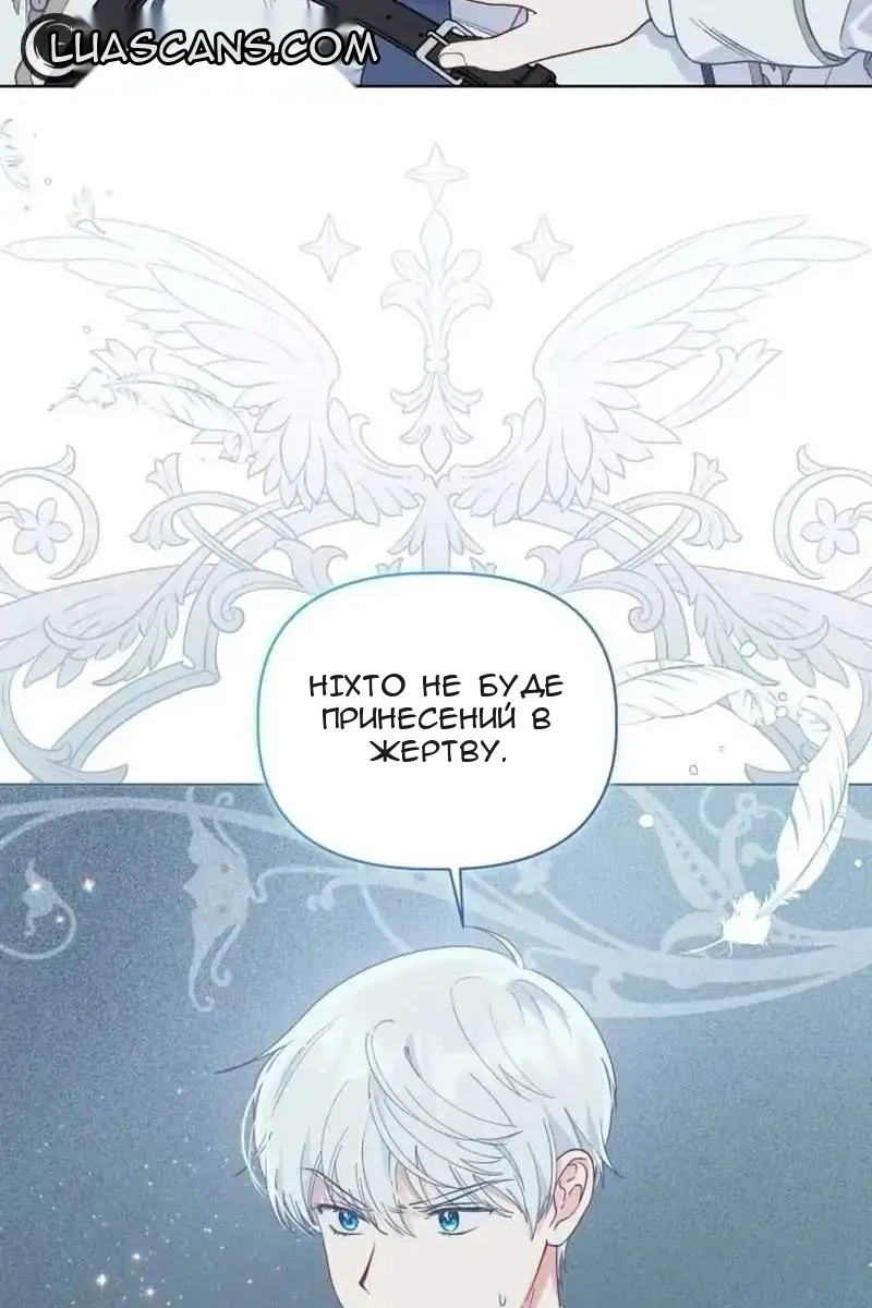 Сторінка 27
