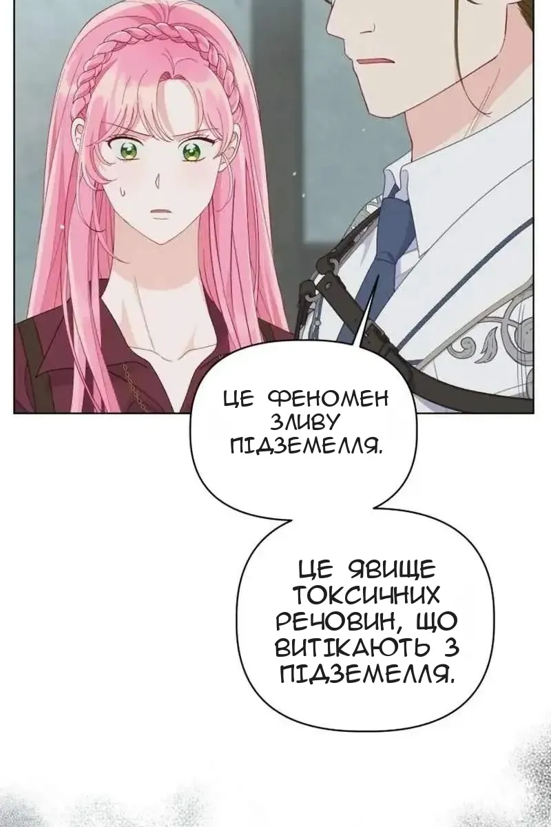 Сторінка 71