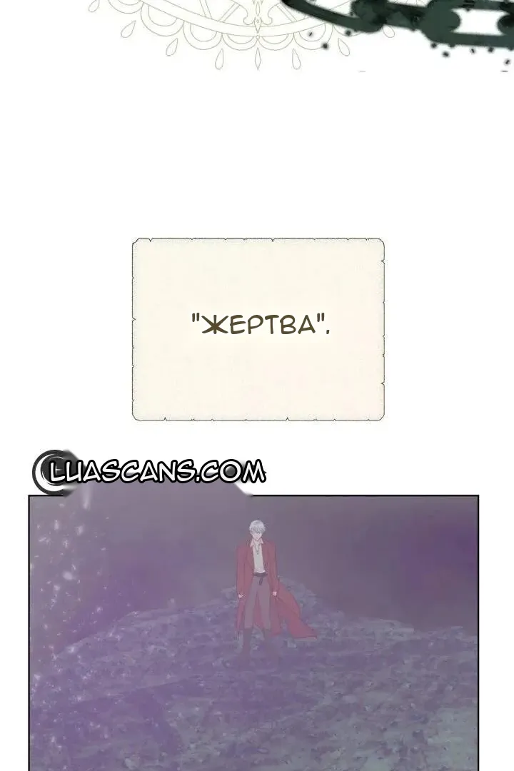Сторінка 41