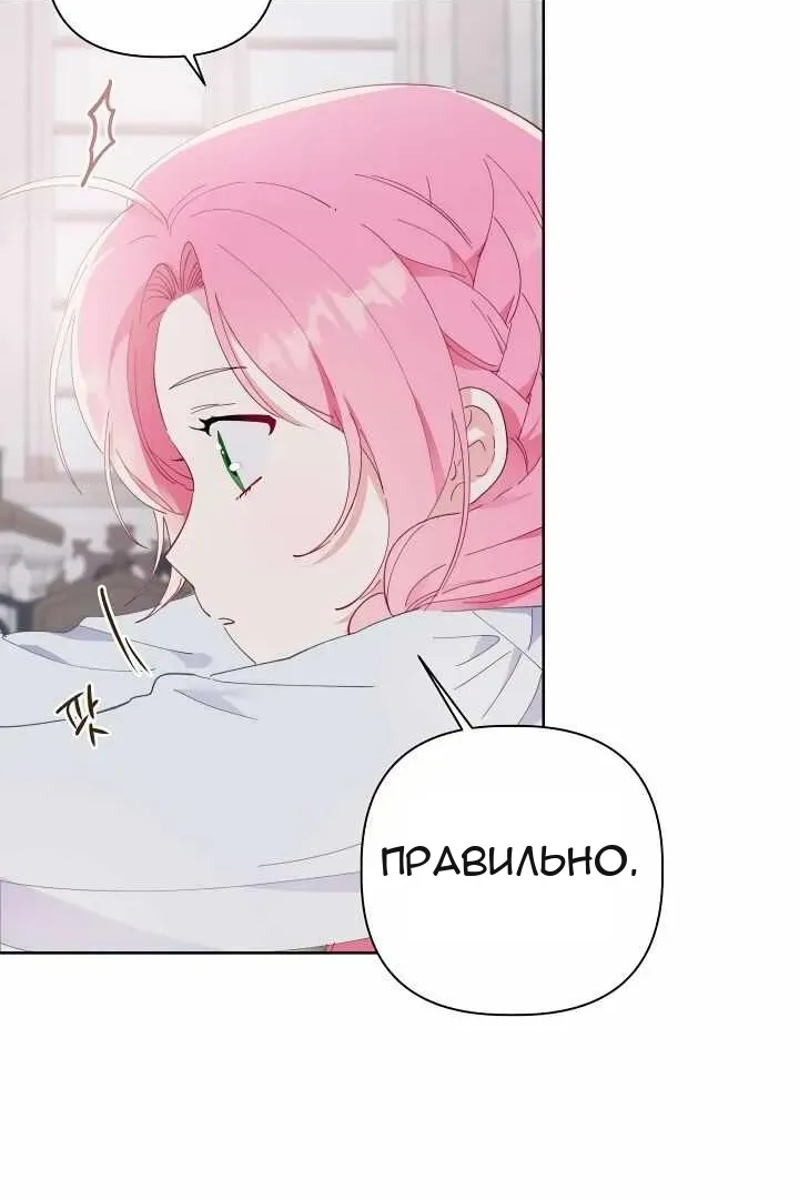 Сторінка 55