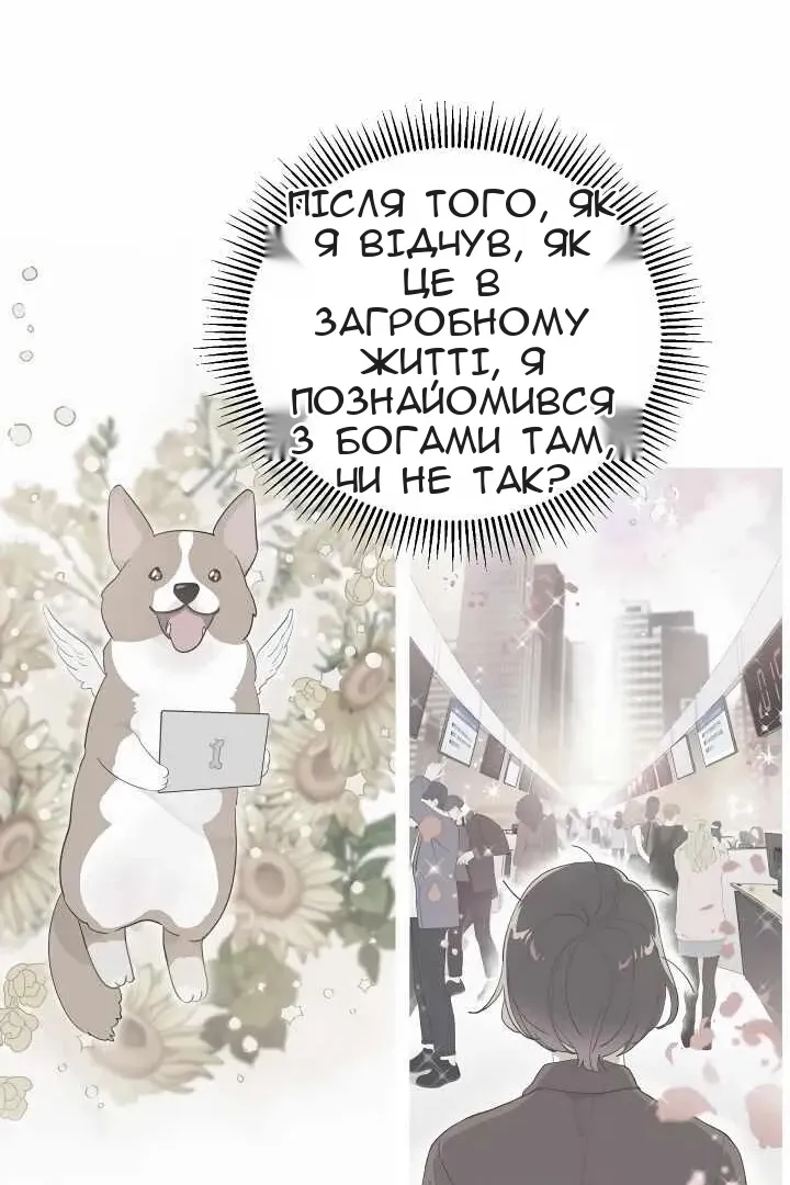 Сторінка 56