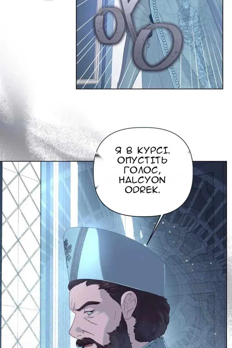 Сторінка 31