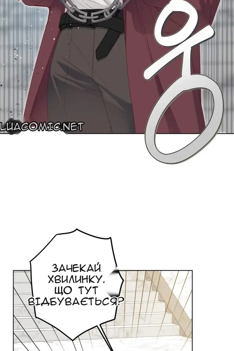 Сторінка 77