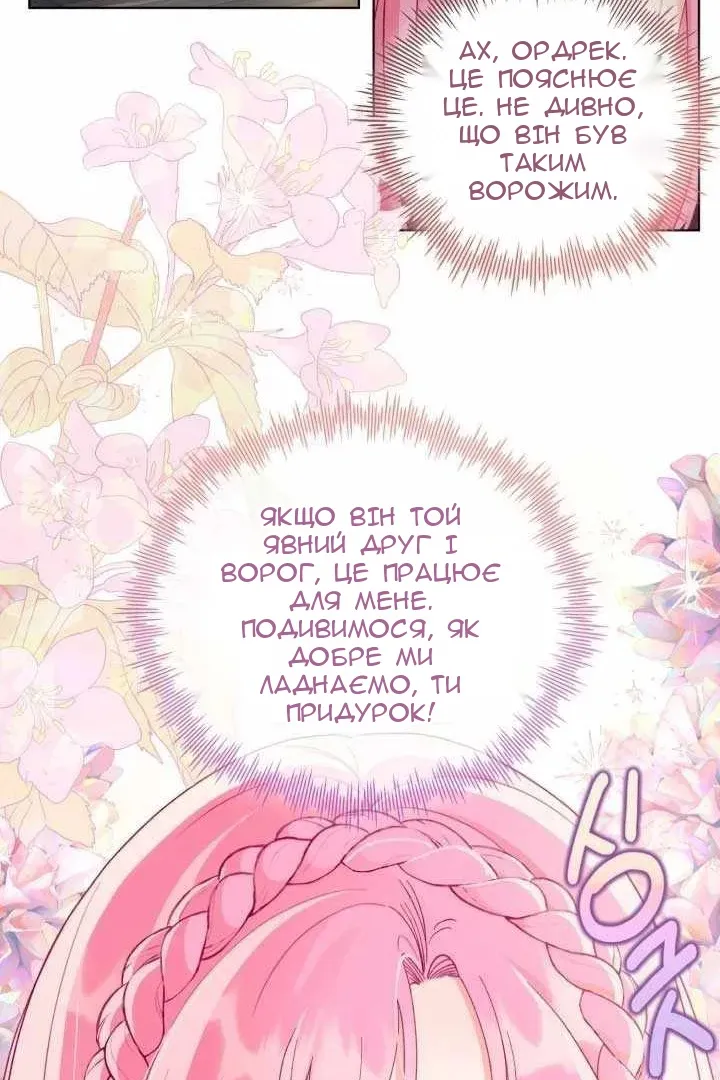 Сторінка 17