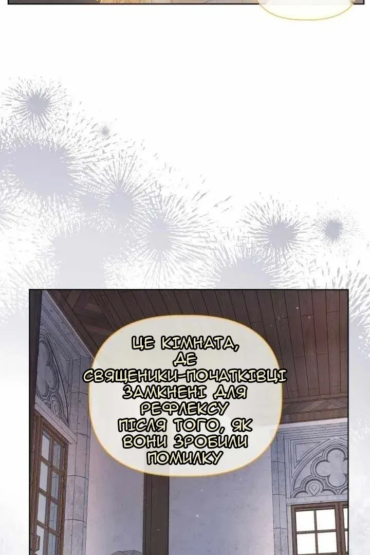Сторінка 29