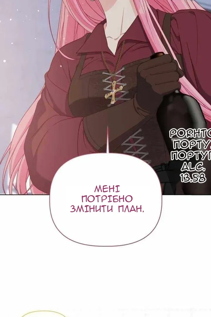 Сторінка 41