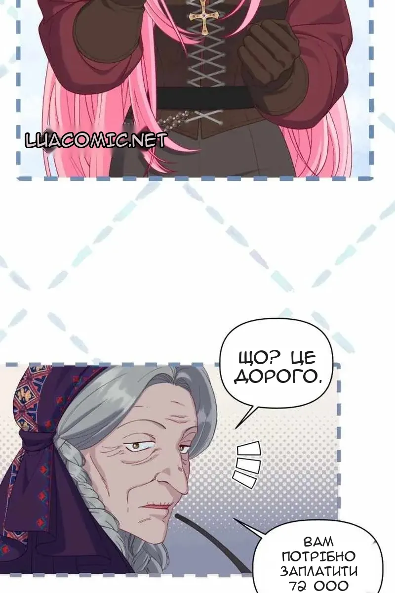 Сторінка 13