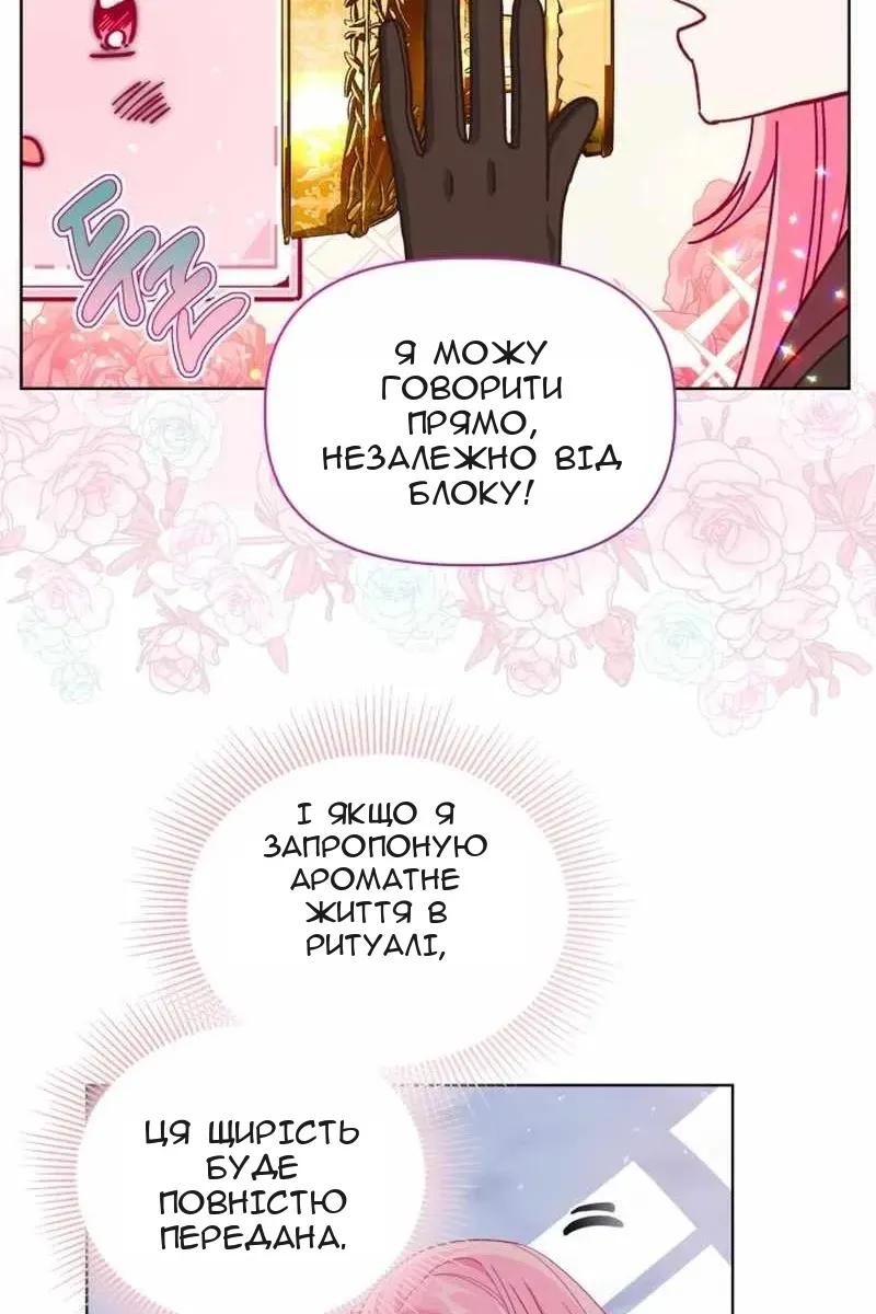Сторінка 41