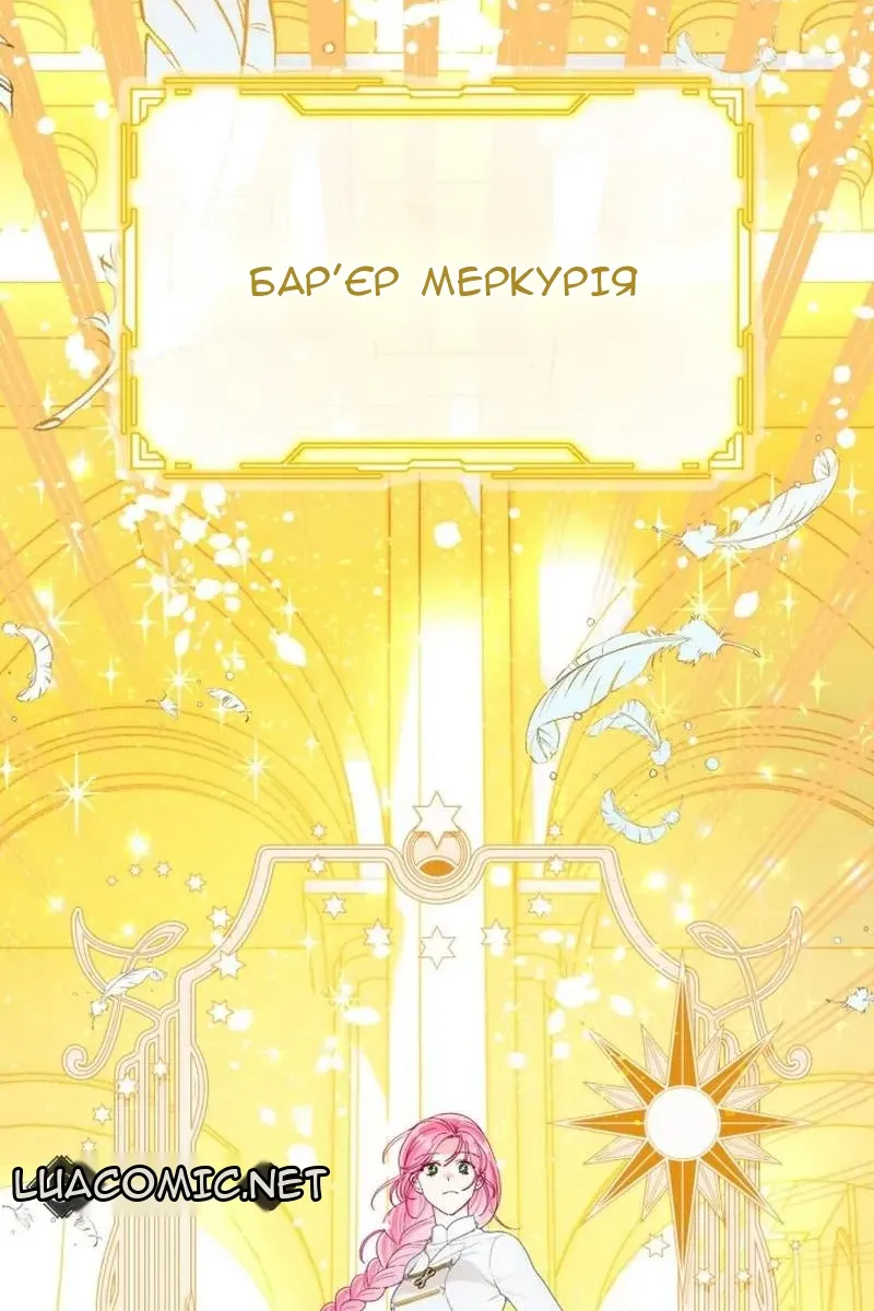 Сторінка 17