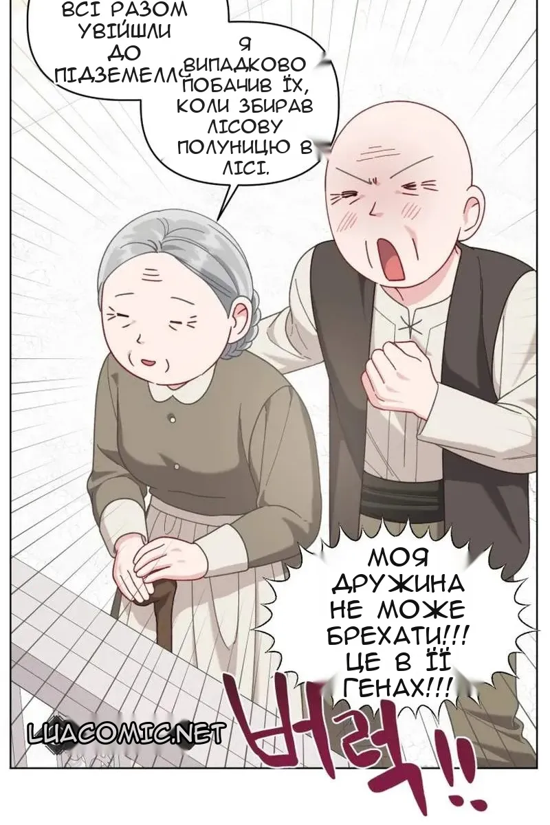 Сторінка 13