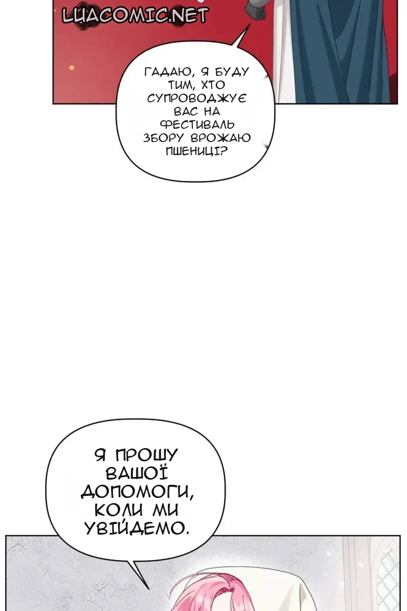 Сторінка 29