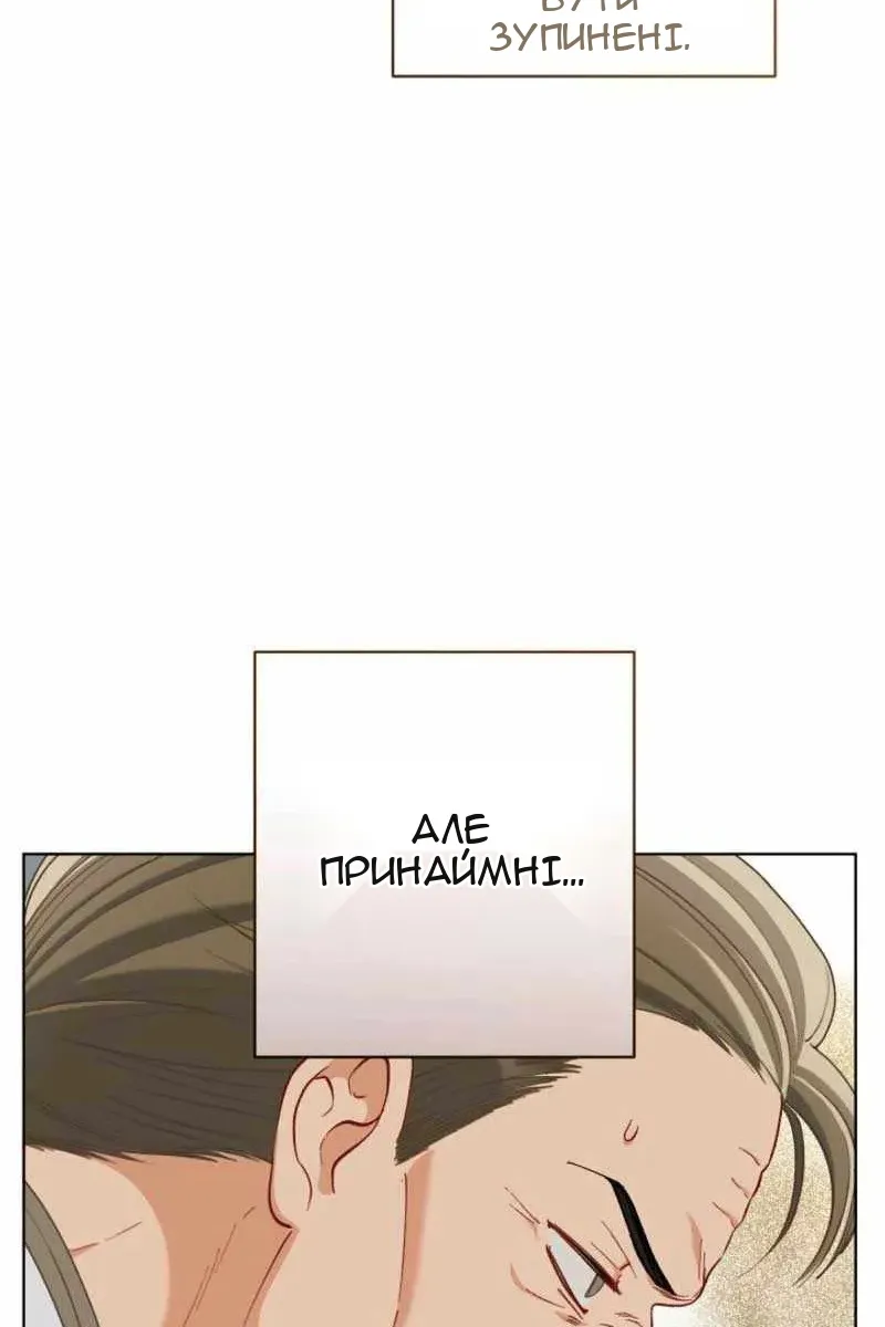 Сторінка 17