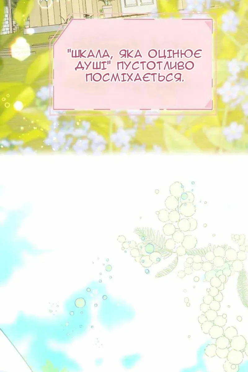 Сторінка 41