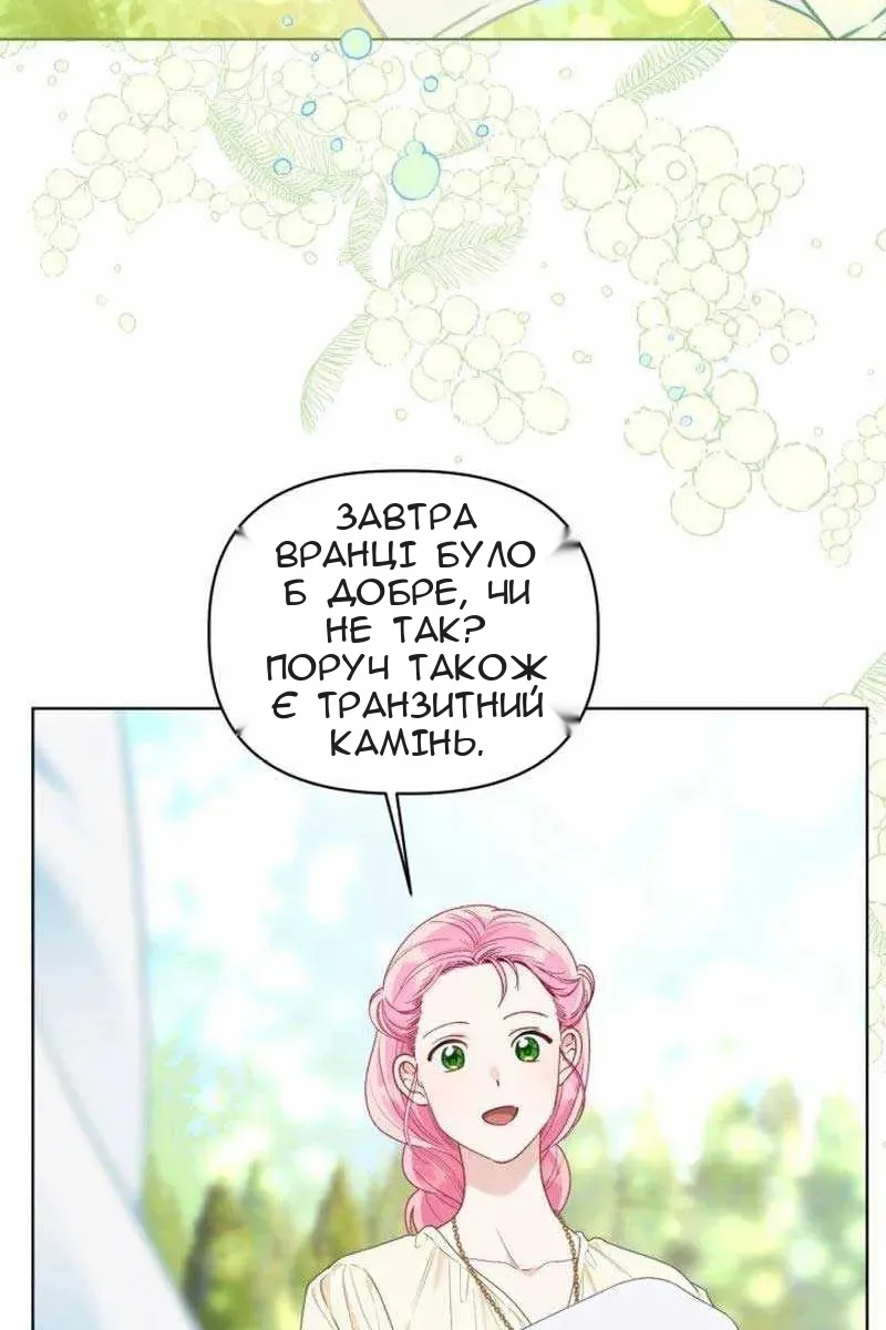 Сторінка 43