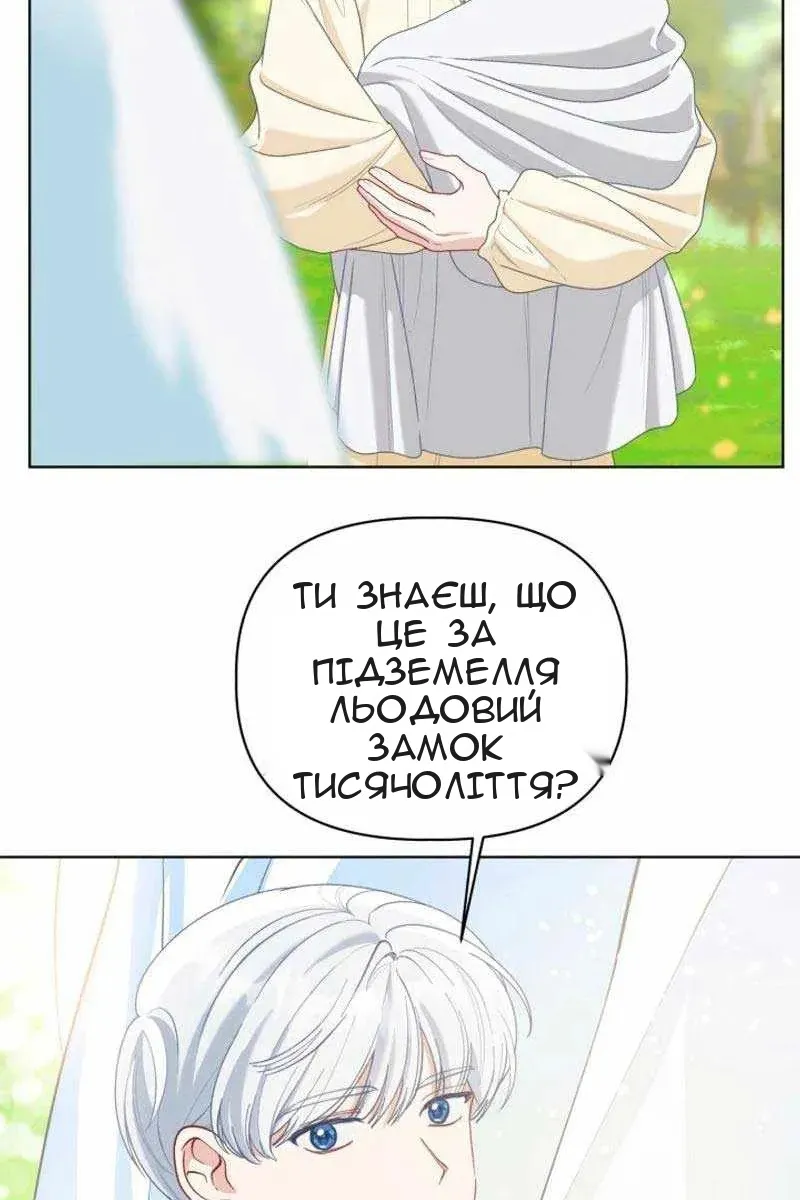 Сторінка 44