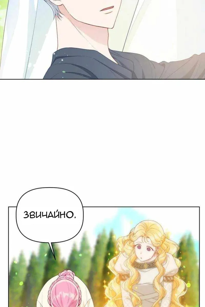 Сторінка 45