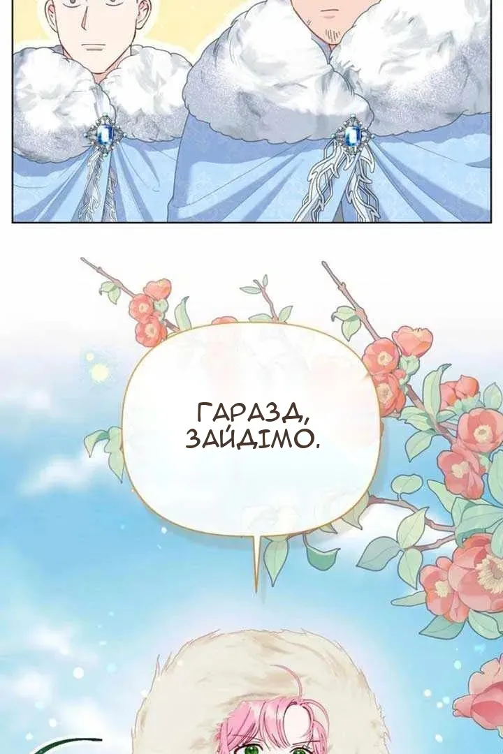 Сторінка 27