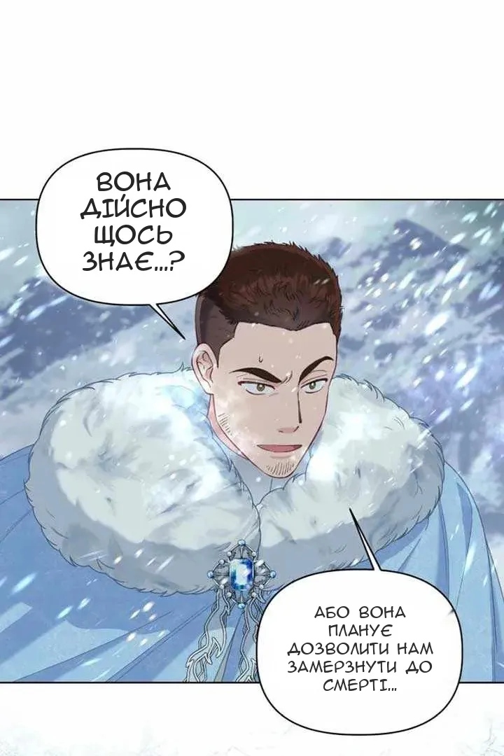 Сторінка 41