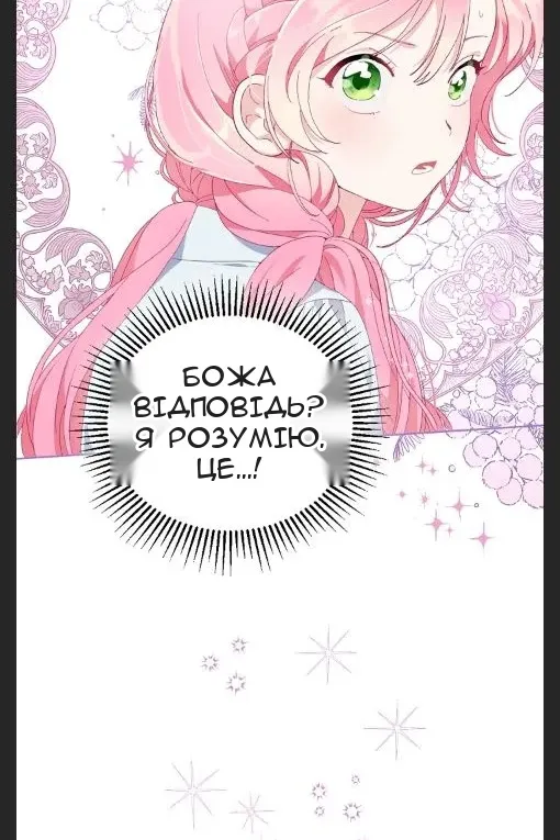 Сторінка 11
