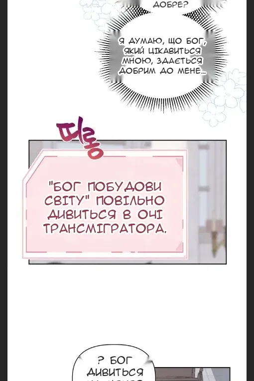 Сторінка 17